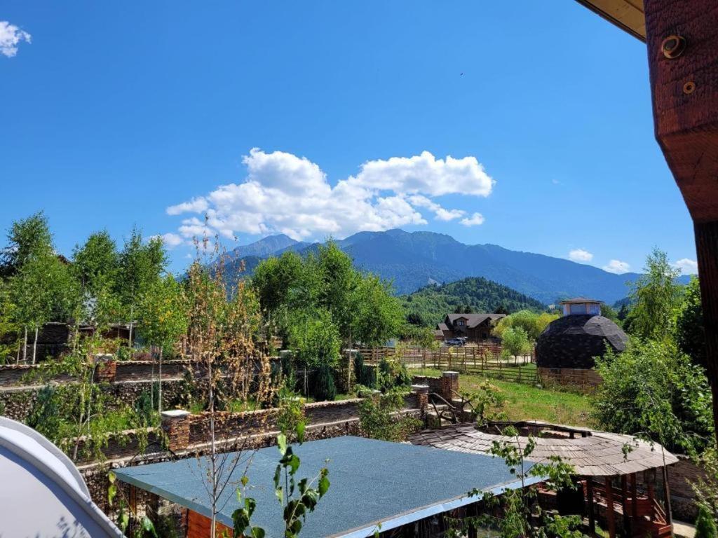Casa Cu Mesteceni Rasnov Exterior foto